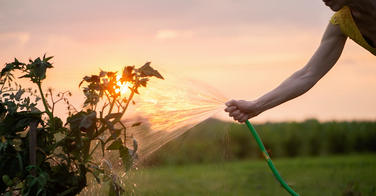 riego bomba de agua grundfos